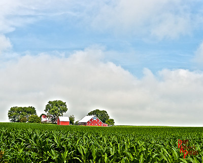 Iowa Farm